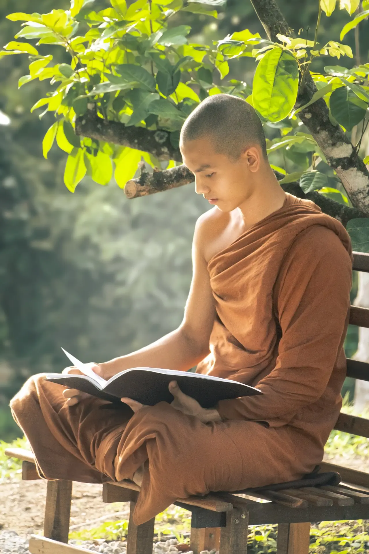 Retreats, Temples, and Monastic Life